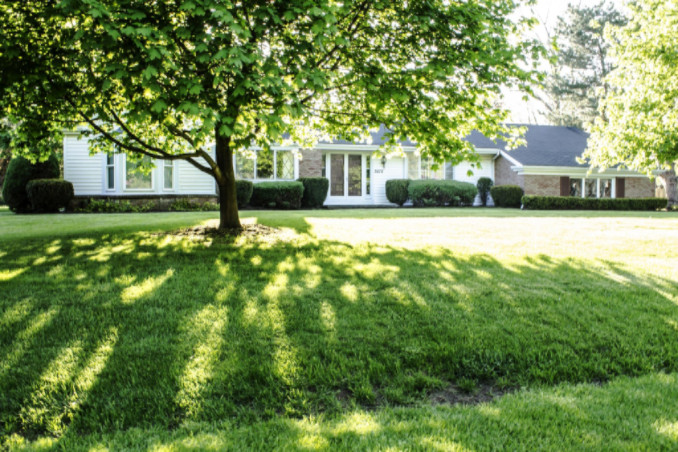 House with shade tree: Richmonds Energy Savings Blog