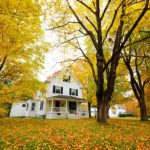 House with fall leaves: Richmond’s Air Preventative Maintenance Blog