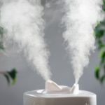 best humidifier and dehumidifier combos